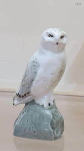 Snowy Owl Meissen