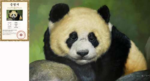 Panda Oil Painting By Kim Kyung-mi