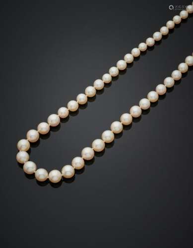 COLLIER composé d'un rang de perles de culture blanches, en ...