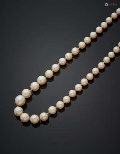 COLLIER composé d'un rang de perles de culture de couleur cr...
