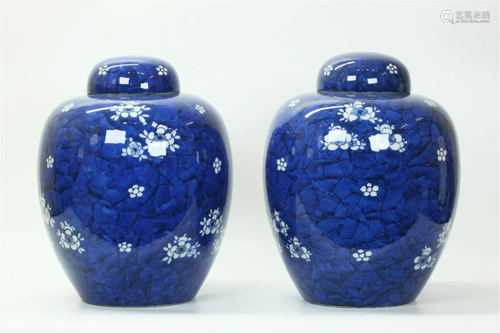 Lg Pr Chinese Blue White Hawthorn Porcelain Jars