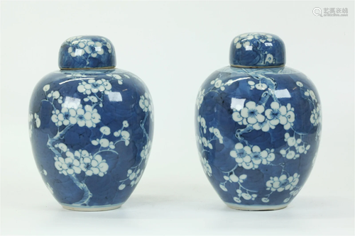 Chinese Blue White Hawthorn Porcelain Tea Jars