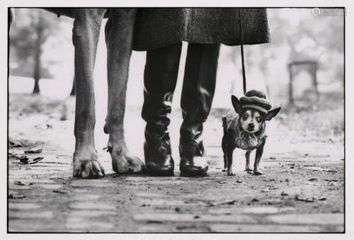 Erwitt, Elliott New York, New York, USA. 1974. Späterer Abzu...