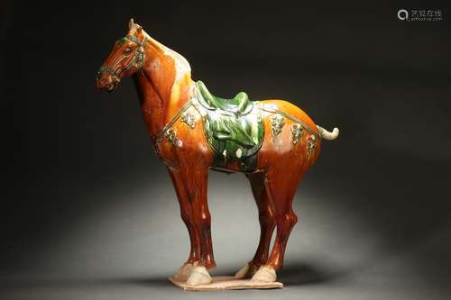 Chinese Tri-colored Horse