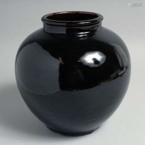 A CHINESE FAMILLE NOIR PORCELAIN VASE, 22cm high.