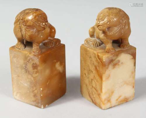 A PAIR OF CHINESE SOAPSTONE BLANK SEALS, the tops carved wit...