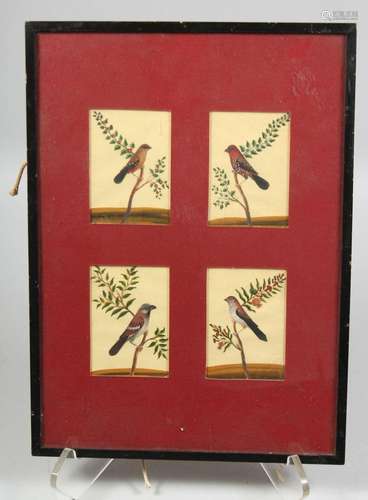 A SET OF FOUR FRAMED INDIAN COMPANY SCHOOL PAINTINGS OF BIRD...