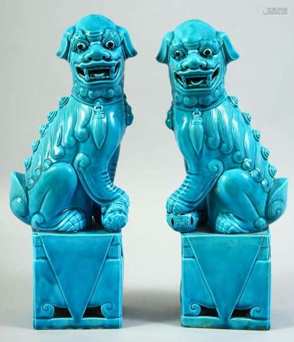 A PAIR OF CHINESE BLUE GLAZE PORCELAIN KYLIN FIGURES, 30.5cm...