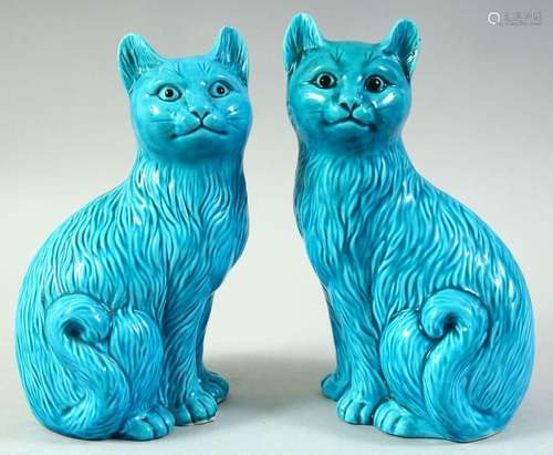 A PAIR OF CHINESE TURQUOISE GLAZE PORCELAIN CAT FIGURES, 20....