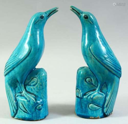 A PAIR OF CHINESE TURQUOISE GLAZE FIGURES OF BIRDS, 21.5cm h...