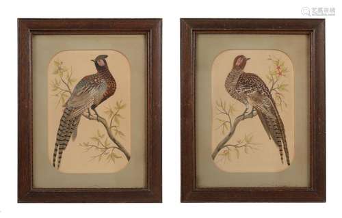 A PAIR OF DECORATIVE PICTURES OF PHEASANTS