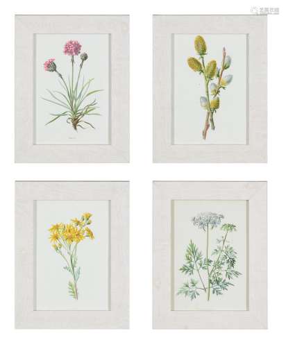 A SET OF DECORATIVE REPRODUCTION PRINTS OF BOTANICALS