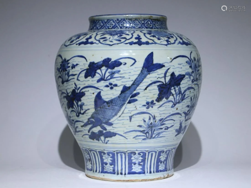 CHINESE BLUE-AND-WHITE JAR DEPICTING 'FISH AMONG PONDWE...