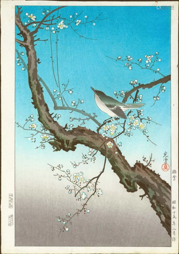 Tsuchiya Koitsu: Plum Warbler