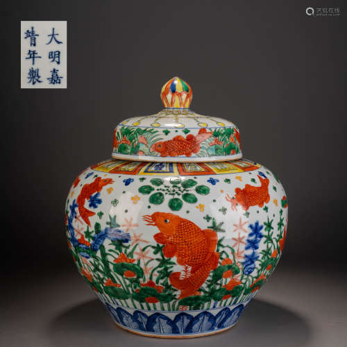 Ming Jiajing Multicolored Fish and Algae Pattern Lid Jar