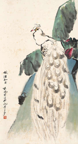 袁晓岑 1915～2008 孔雀图 设色纸本 立轴