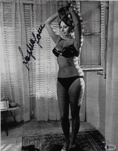 索菲尔罗兰 意大利女演员 索菲亚 罗兰 签名照片