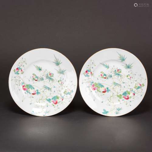 PAIR OF FAMILLE ROSE 'FLORAL' DISHES, GUANGXU MARK