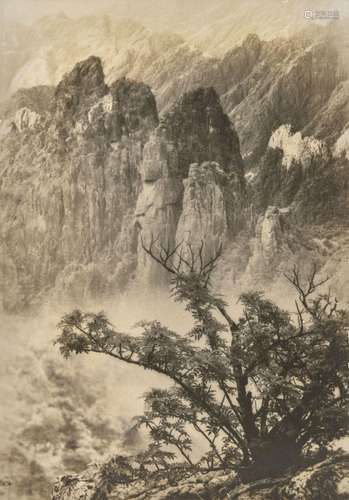 郎静山(1892-1995) 春树奇峰