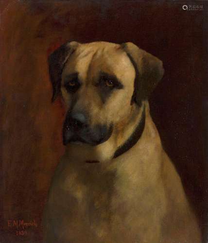 Emily Mary Merrick, British 1843-1921- Portrait of a dog; oi...