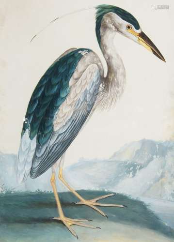 European School, mid-20th century- Exotic birds; watercolour...