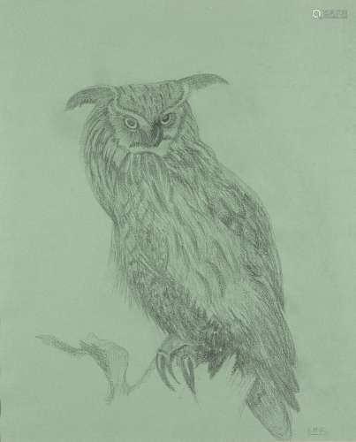 Elizabeth MacDonald-Buchanan, British 1939-2020- Owl; pencil...