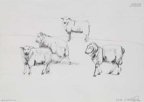 Dido Crosby, British b.1961- Four Sheep, Romney, 2001; penci...
