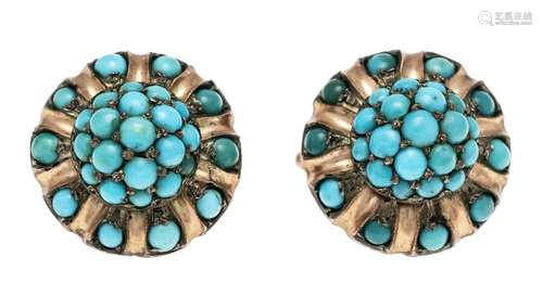 Turquoise earrings GG 333/000