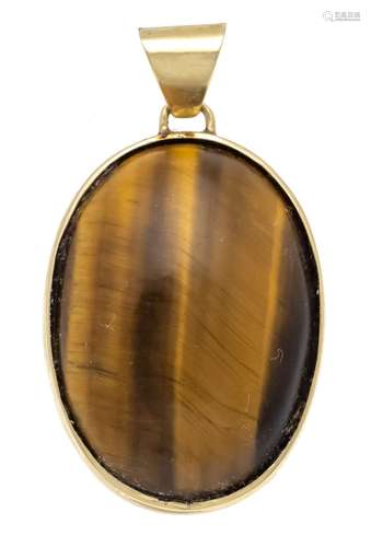 Tiger's eye pendant GG 585/000