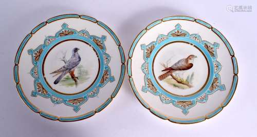Mid-19th century Coalport pair of plates from the ‘Birds of ...