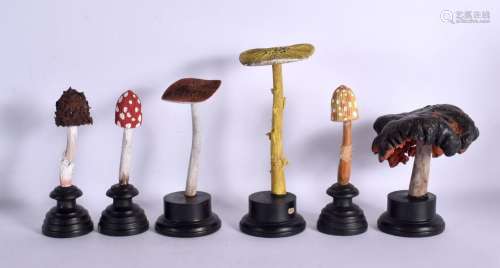 SIX VINTAGE MUSHROOM SPECIMENS Largest 25 cm high. (6)