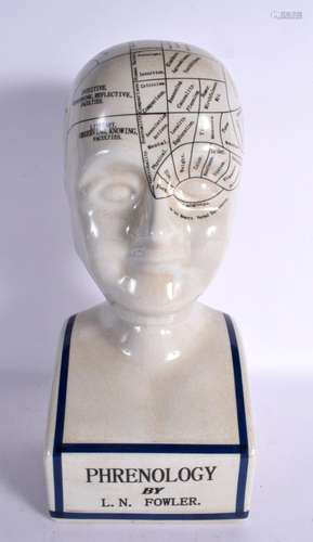 A CONTEMPORARY PHRENOLOGY HEAD. 40 cm x 12 cm.