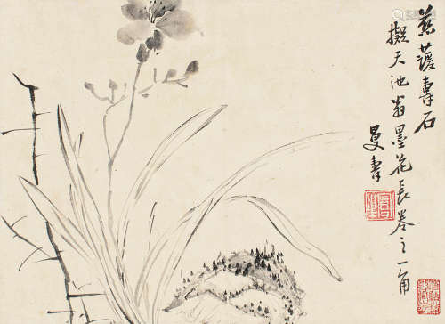 1768～1822 陈鸿寿  慈萱寿石 水墨纸本 镜片
