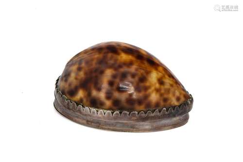 EARLY UNMARKED COWRIE SHELL & SILVER BOX