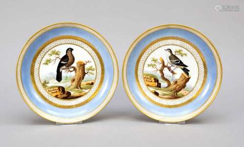 Pair of footed bowls, France, 19th