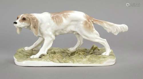 Hunting dog, Nymphenburg, early 20t