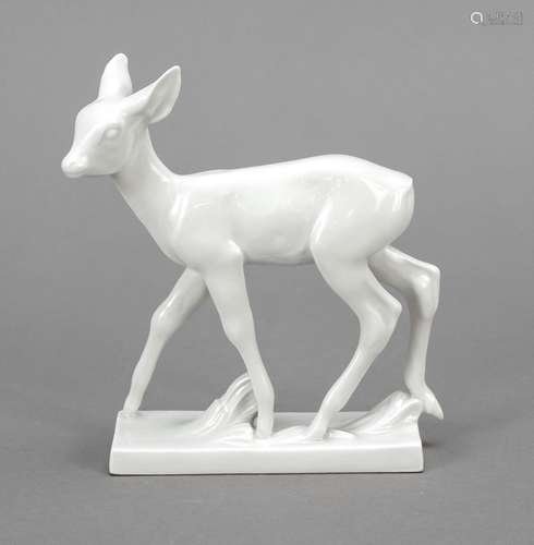 Standing fawn, Meissen, 20th c., 1s