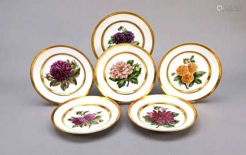 Set of 6 Biedermeier plates, Royal