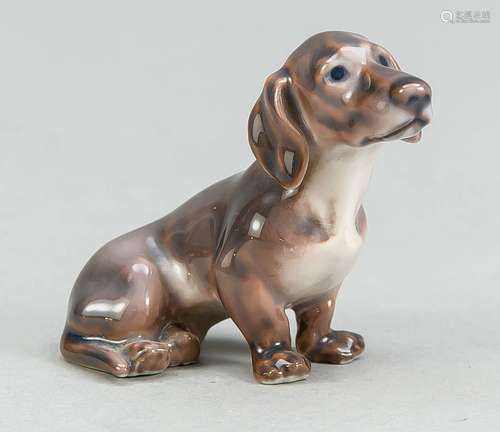 Dachshund, Dahl Jensen, Copenhagen,