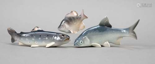 Three fish, 20th century, carp, Roy