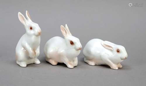 Three white rabbits, Bing & Gröndah