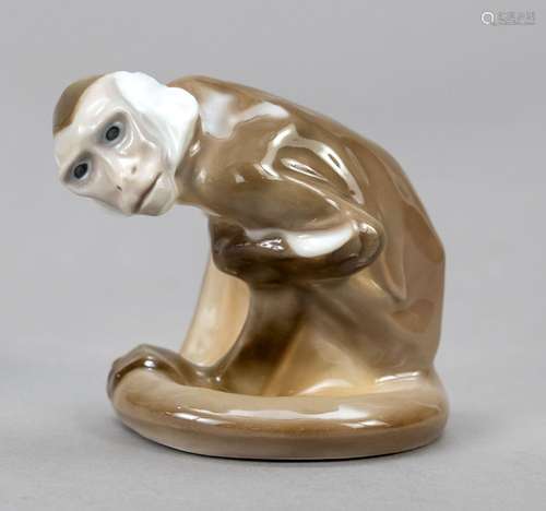 Squatting capuchin monkey, Meissen,