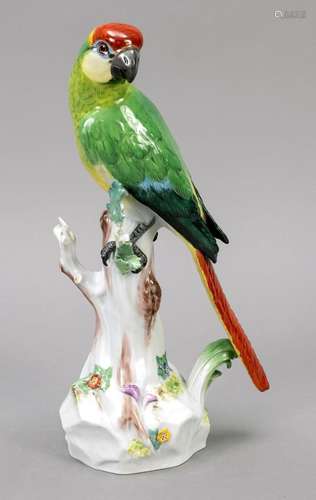 Parrot on a branch, Meissen, mark a