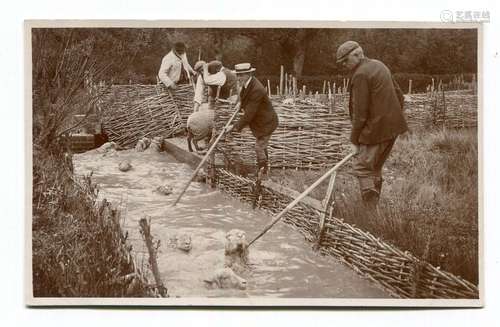 BURPHAM. A collection of approximately 63 postcards of Burph...