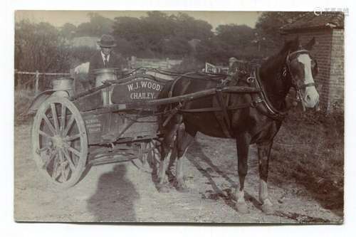 CHAILEY. A photographic postcard of a horse and cart detaile...