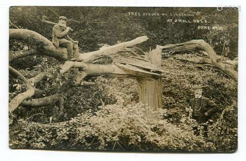 SMALL DOLE. A group of 13 postcards of Small Dole