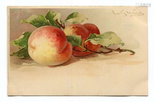 An album of approximately 242 postcards of flowers and fruit