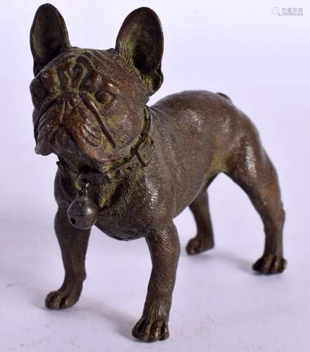 A BRONZE MODEL OF A BULLDOG. 6.5cm x 8cm x 3cm, weight 227.7...