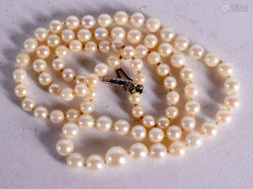 GRADUATED PEARL NECKLACE WITH 14CT GOLD CLASP. Stamped 14K, ...