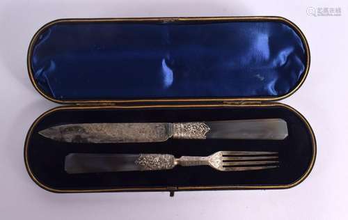 A CASED EPNS KNIFE AND FORK SET WITH AGATE HANDLES. Knife 24...